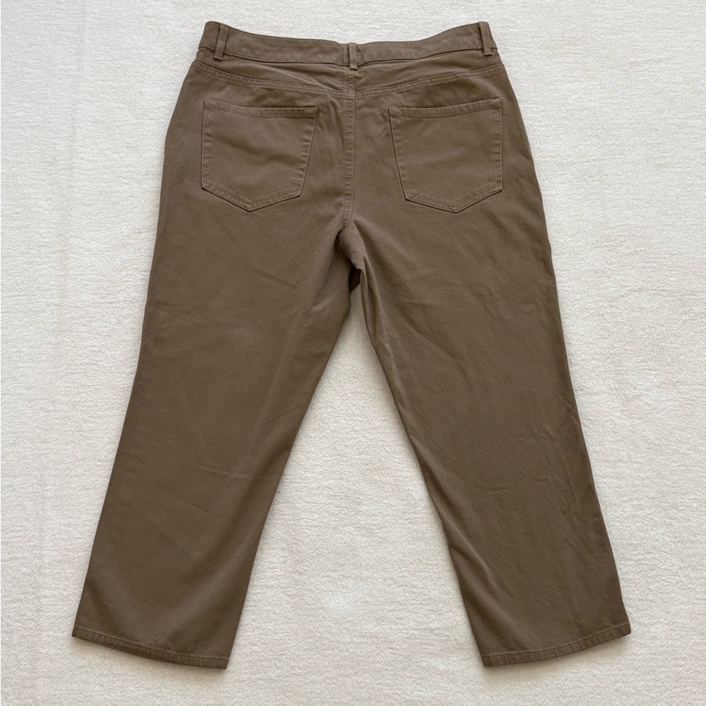 Coldwater Creek Natural Fit Brown Capri Pants Womenβs Size 10 - Picture 2 of 9